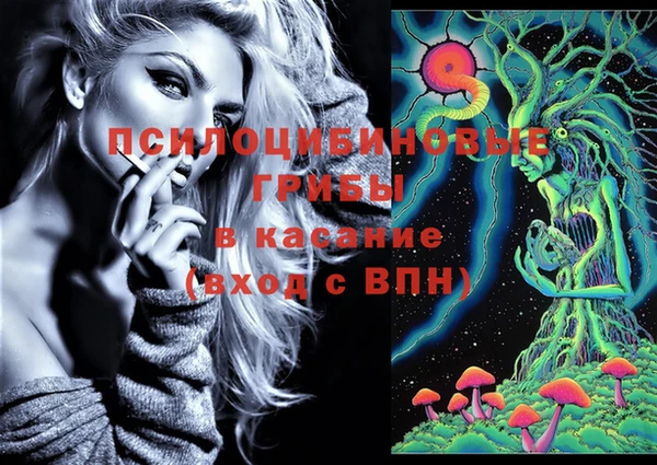 дурь Алексеевка