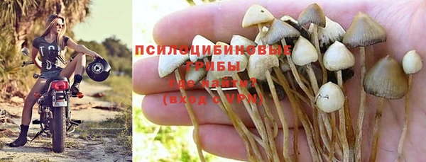 дурь Алексеевка